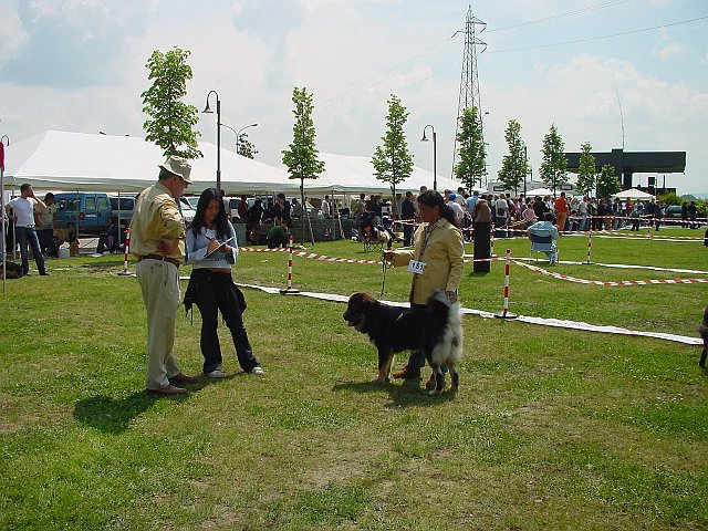 Immagine 077.jpg